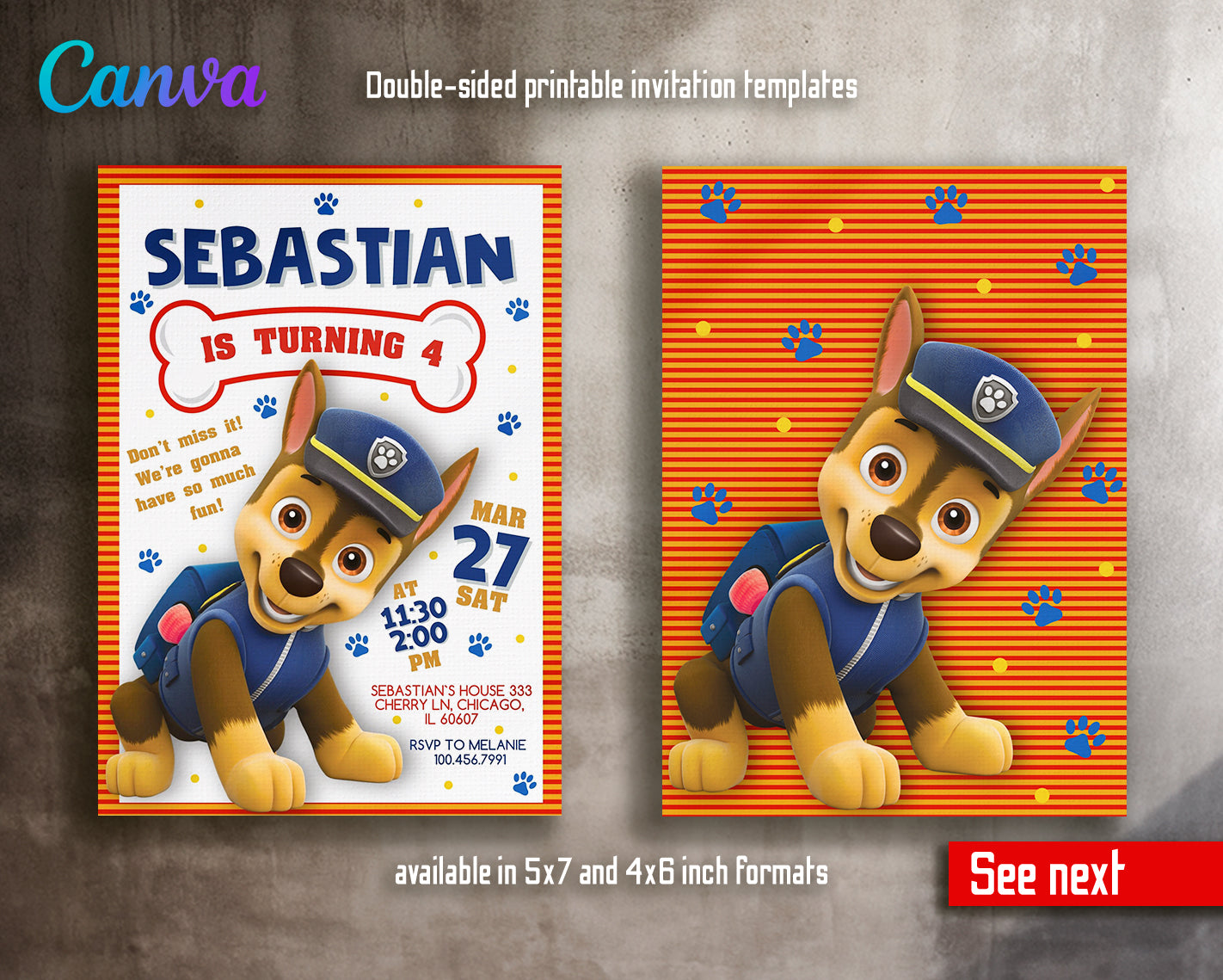 Paw Patrol customizable invite template | instant download | Share or Print | MZ947